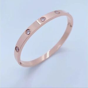 Luxury Rose Gold Plated Stainless Steel Bangle Bracelet